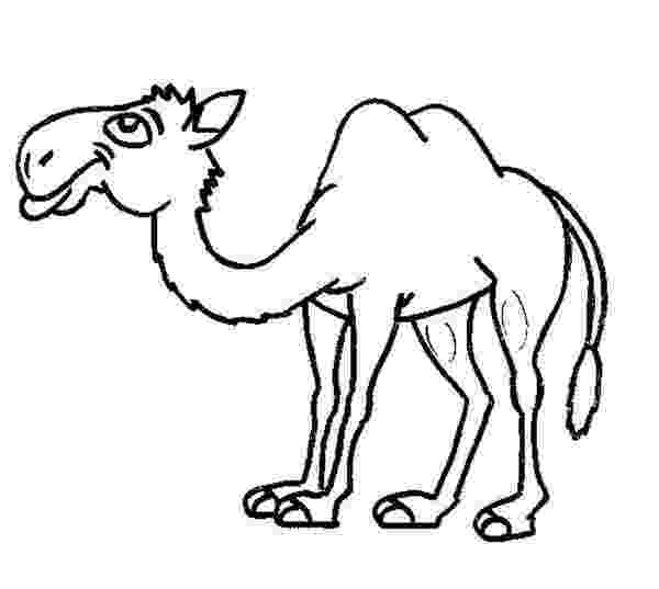 coloring pages camel camel coloring pages to download and print for free pages camel coloring 
