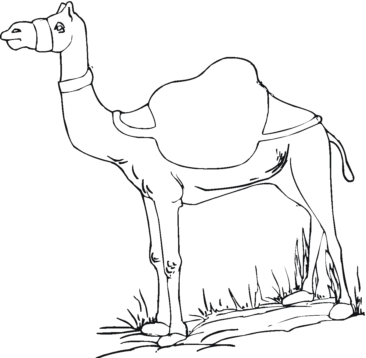 coloring pages camel camel pictures to print free download on clipartmag coloring camel pages 1 1