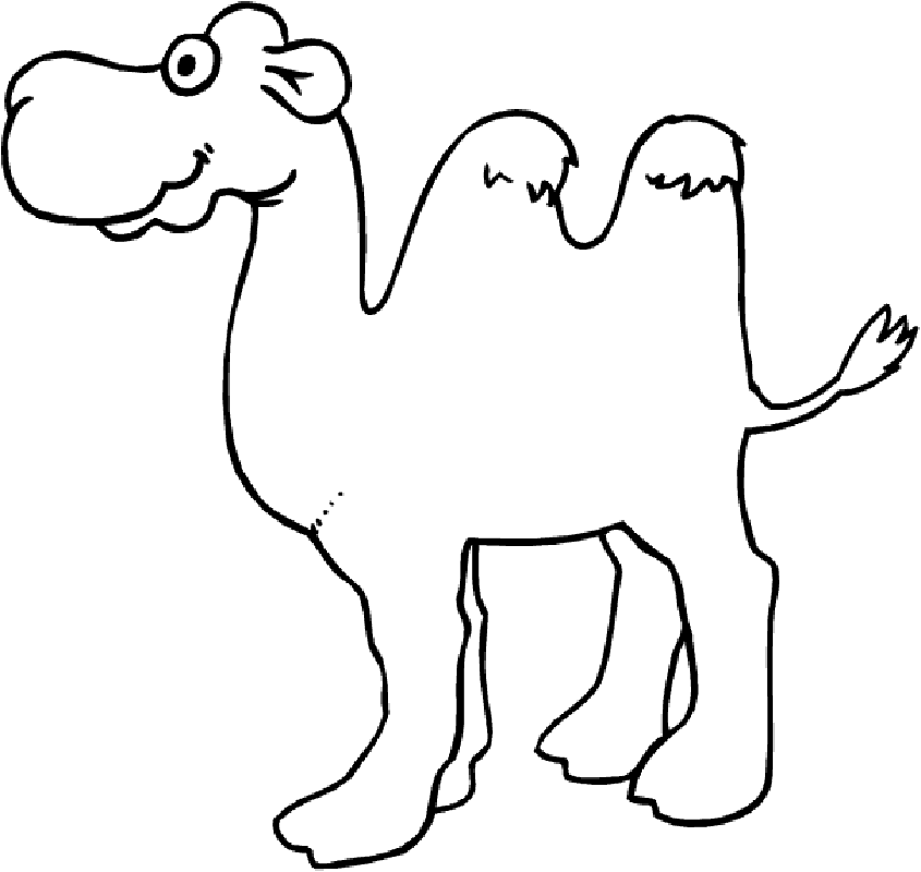 coloring pages camel free camel pictures to print download free clip art free coloring pages camel 