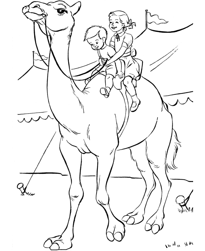 coloring pages camel free printable camel coloring pages for kids camel pages coloring 