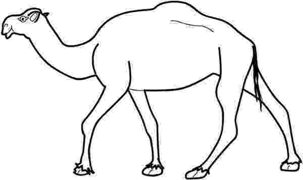coloring pages camel free printable camel coloring pages for kids coloring pages camel 