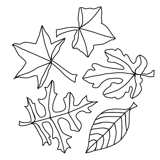 coloring pages fall leaves fall leaves coloring pages best coloring pages for kids fall pages leaves coloring 