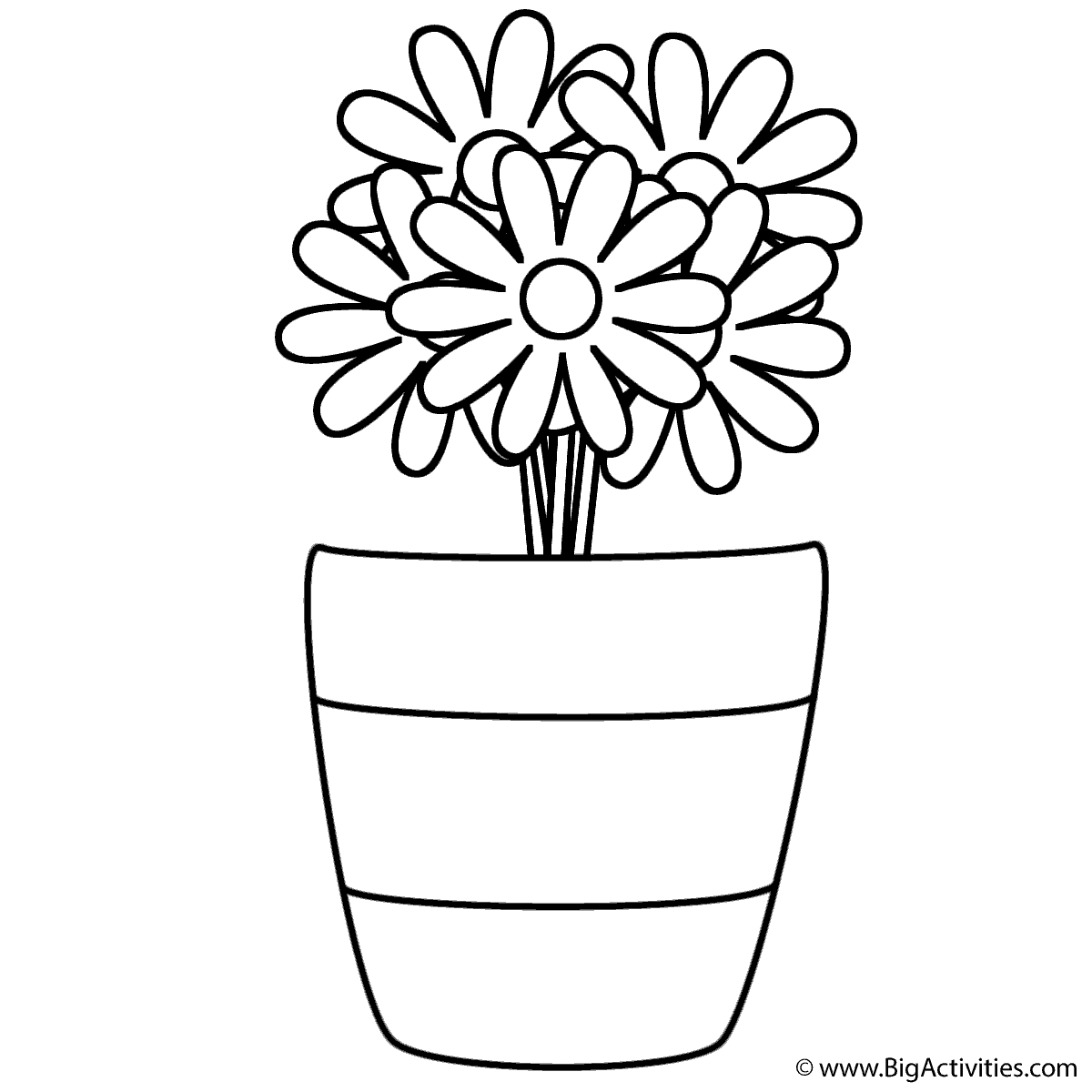coloring pages flowers in vase flowers in vase with stripes coloring page plants in coloring flowers vase pages 