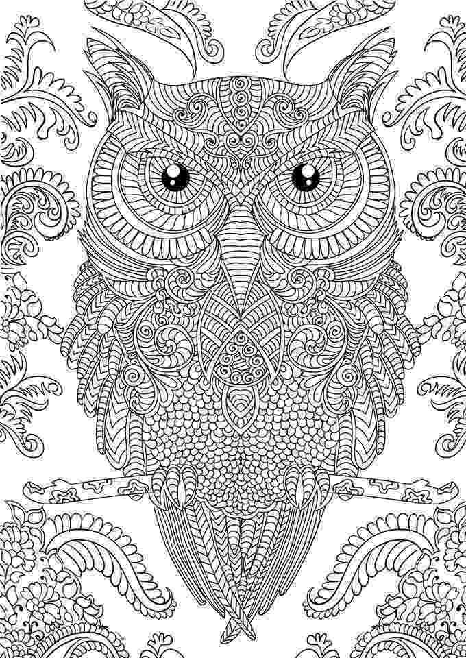 coloring pages for adults with owls owl and flowers advanced coloring page for adults printable adults coloring for owls with pages 