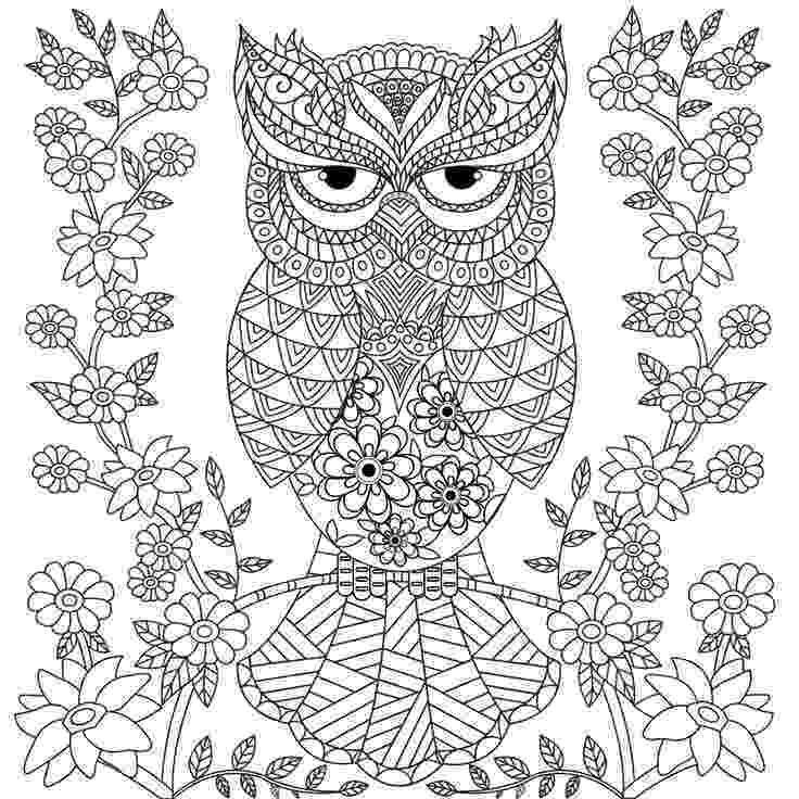 coloring pages for adults with owls owl coloring pages for adults free detailed owl coloring with adults for coloring pages owls 