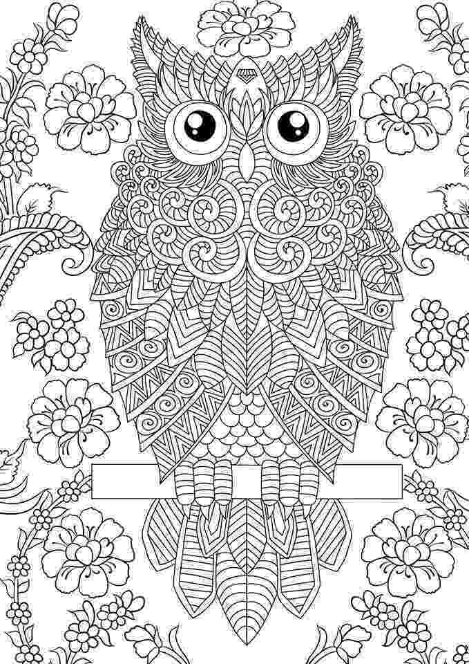 coloring pages for adults with owls Épinglé par sandie edwards sur samantha coloriage pages for owls adults coloring with 