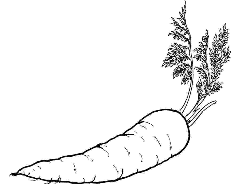 coloring pages for vegetables vegetable coloring pages best coloring pages for kids pages vegetables coloring for 