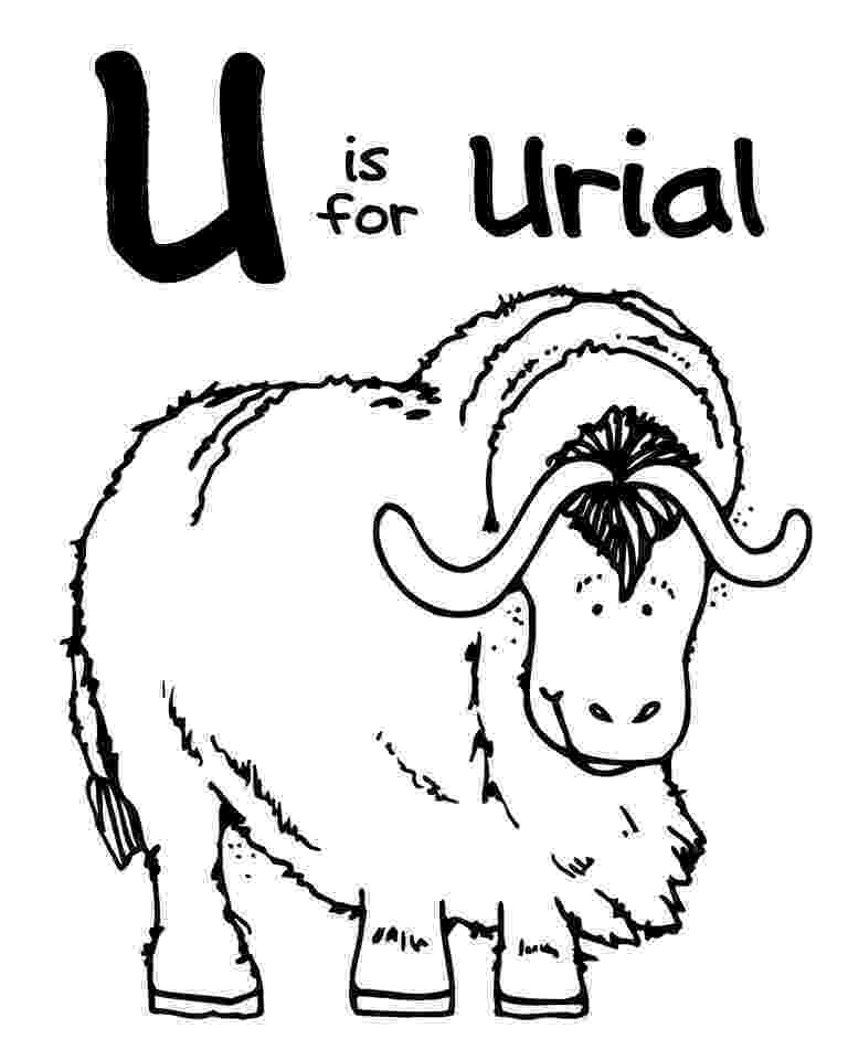 coloring pages letter u animals letter u with animals coloring page free printable u letter pages animals coloring 