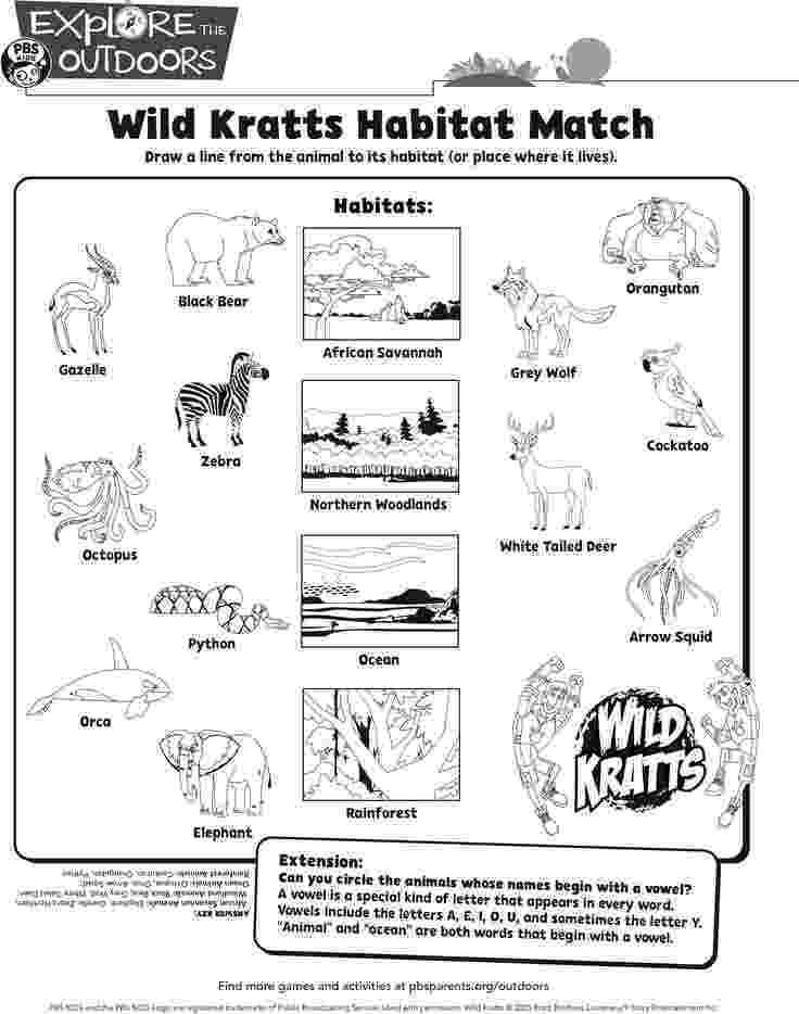 coloring pages of animals in their habitats image result for estuary coloring sheet animal coloring pages in coloring of animals habitats their 