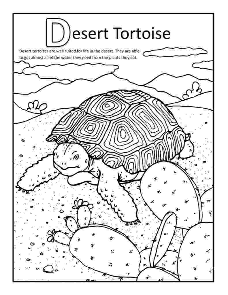 coloring pages of animals in their habitats underground railroad quilt coloring pages coloring pages coloring of habitats animals pages their in 