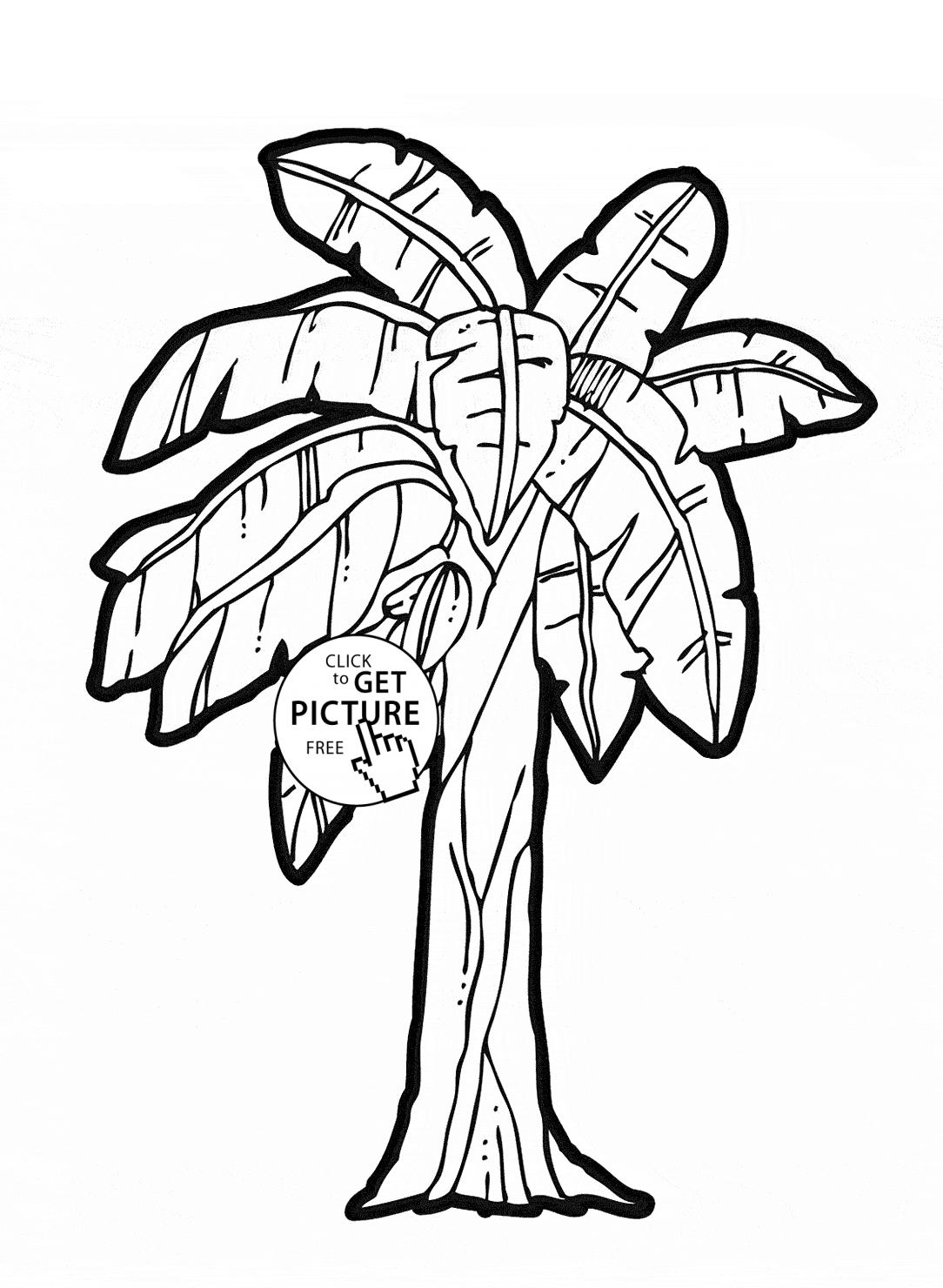 coloring pages of fruit trees fruit tree coloring page at getcoloringscom free fruit of trees pages coloring 