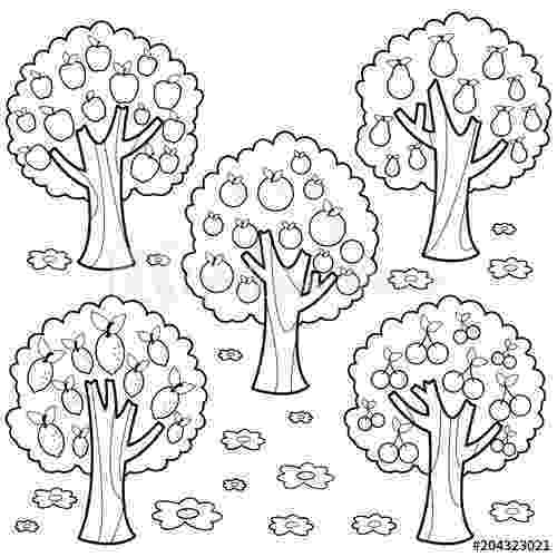 coloring pages of fruit trees quotfruit trees black and white coloring book pagequot stock trees of fruit pages coloring 