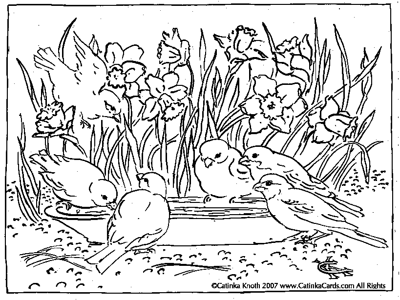 coloring pages of garden flowers flower garden coloring pages to download and print for free coloring flowers of garden pages 