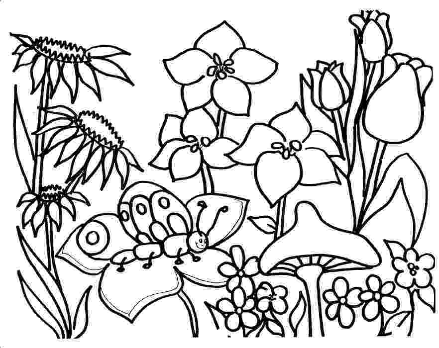 coloring pages of garden flowers flower garden coloring pages to download and print for free coloring flowers pages of garden 