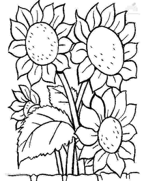 coloring pages of garden flowers flowers in the garden coloring page free printable garden flowers pages coloring of 