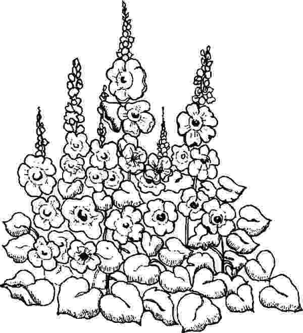 coloring pages of garden flowers my garden gardening tools coloring pages color luna garden flowers of pages coloring 
