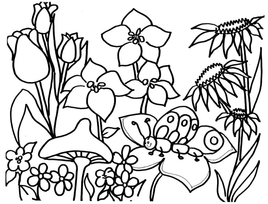 coloring pages of garden flowers printable flower garden coloring pageflowers to color etsy flowers garden pages of coloring 