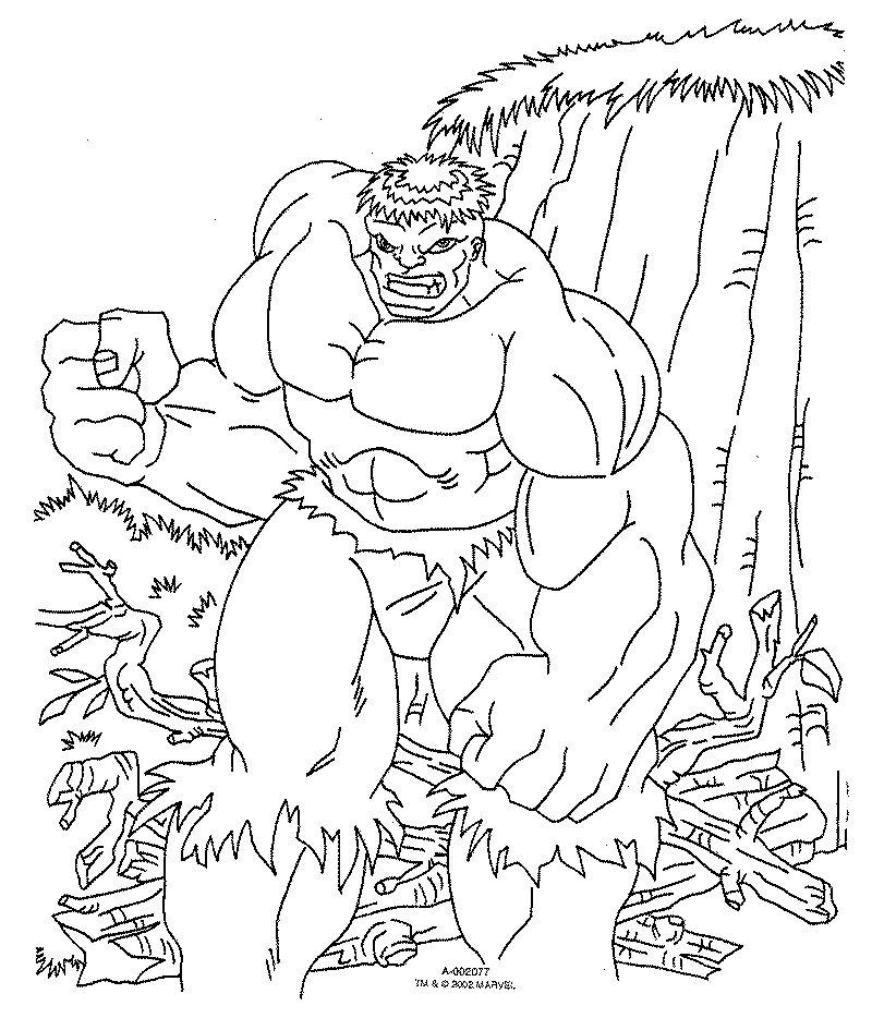 coloring pages of hulk hulk the avengers coloring pages minister coloring pages hulk coloring of 