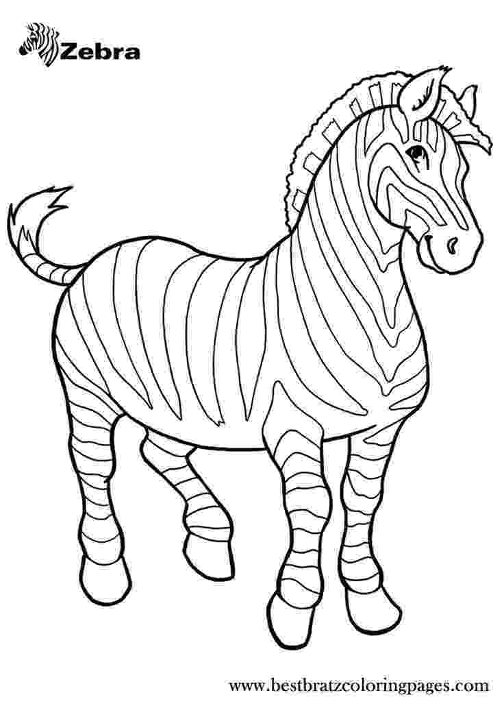 coloring pages of zebras free printable zebra coloring pages for kids zebras of pages coloring 