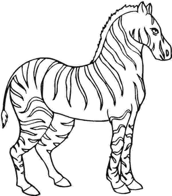 coloring pages of zebras free zebra coloring pages of zebras pages coloring 