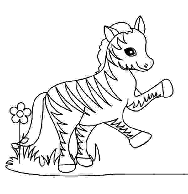coloring pages of zebras stallion zebra coloring page download print online pages zebras coloring of 