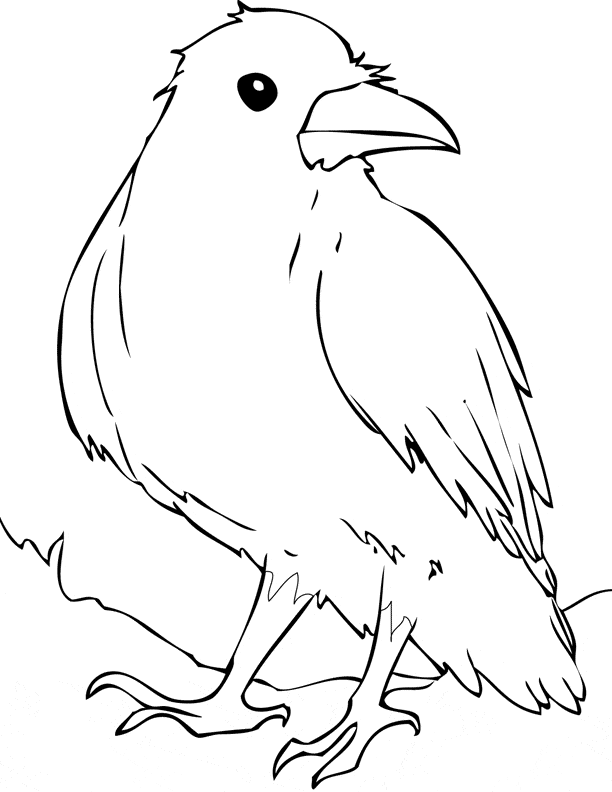 coloring pages raven raven 3 animals printable coloring pages pages coloring raven 