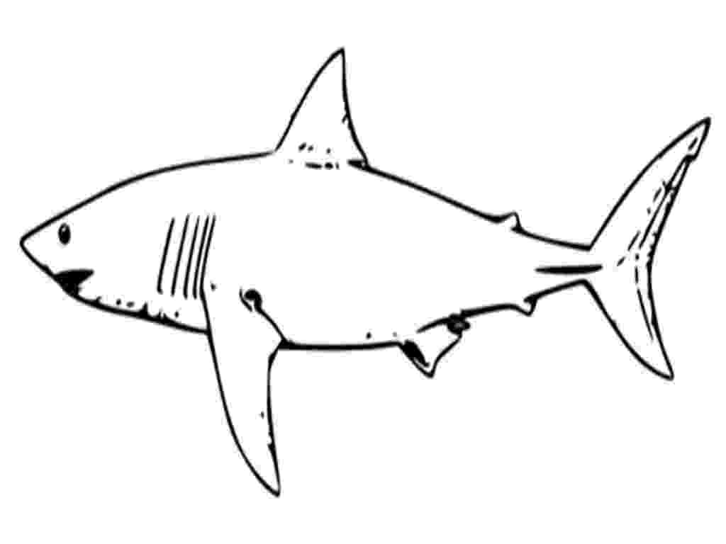 coloring pages sharks free shark coloring pages coloring pages sharks 