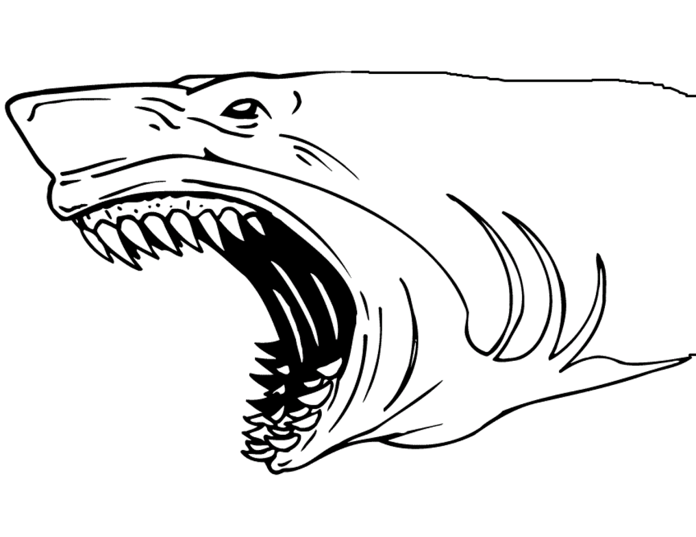 coloring pages sharks printable shark coloring pages coloring home coloring sharks pages 