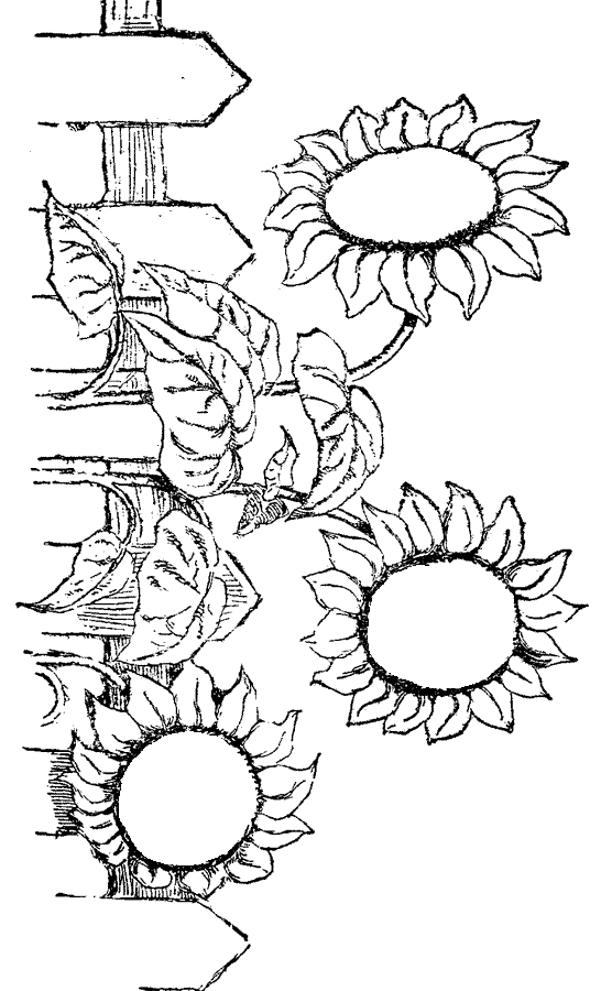 coloring pages that you can print for free coloring pages you can color on the computer free can for print coloring that free pages you 
