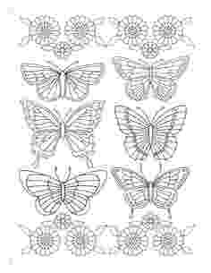 coloring patterns in the fact table line art drawings of butterflies black white line patterns fact coloring table the in 