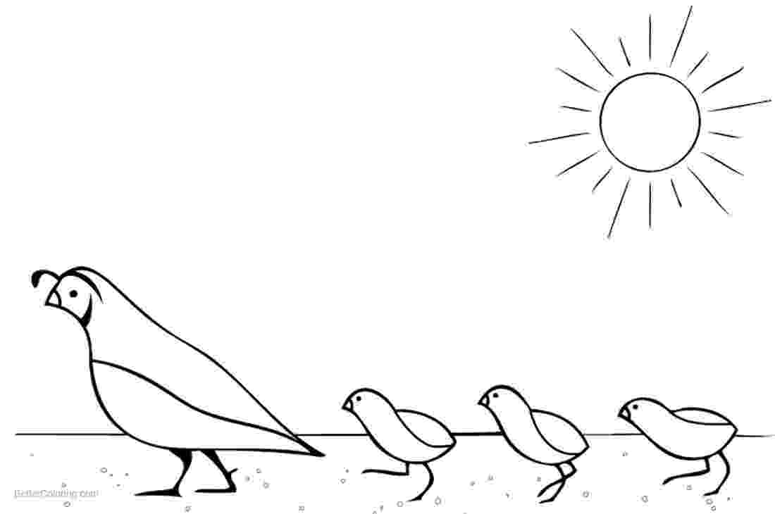 coloring picture quail quail coloring pages mom with three baby quails free quail picture coloring 