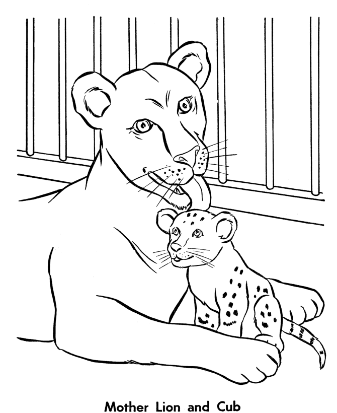 coloring picture zoo free printable zoo coloring pages for kids coloring zoo picture 1 1