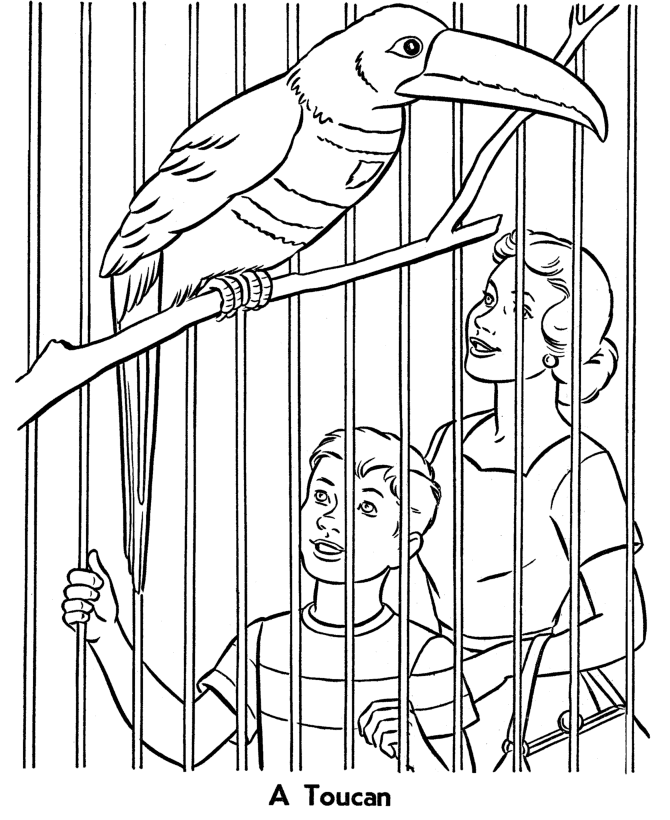 coloring picture zoo zoo coloring pages getcoloringpagescom coloring zoo picture 