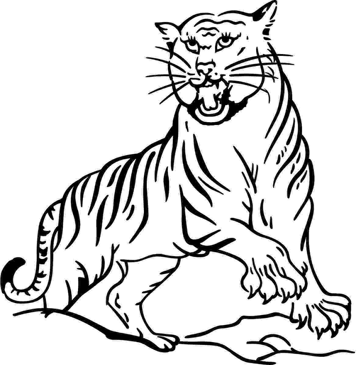 coloring pictures of tigers free printable animal tiger coloring pages coloring of pictures tigers 