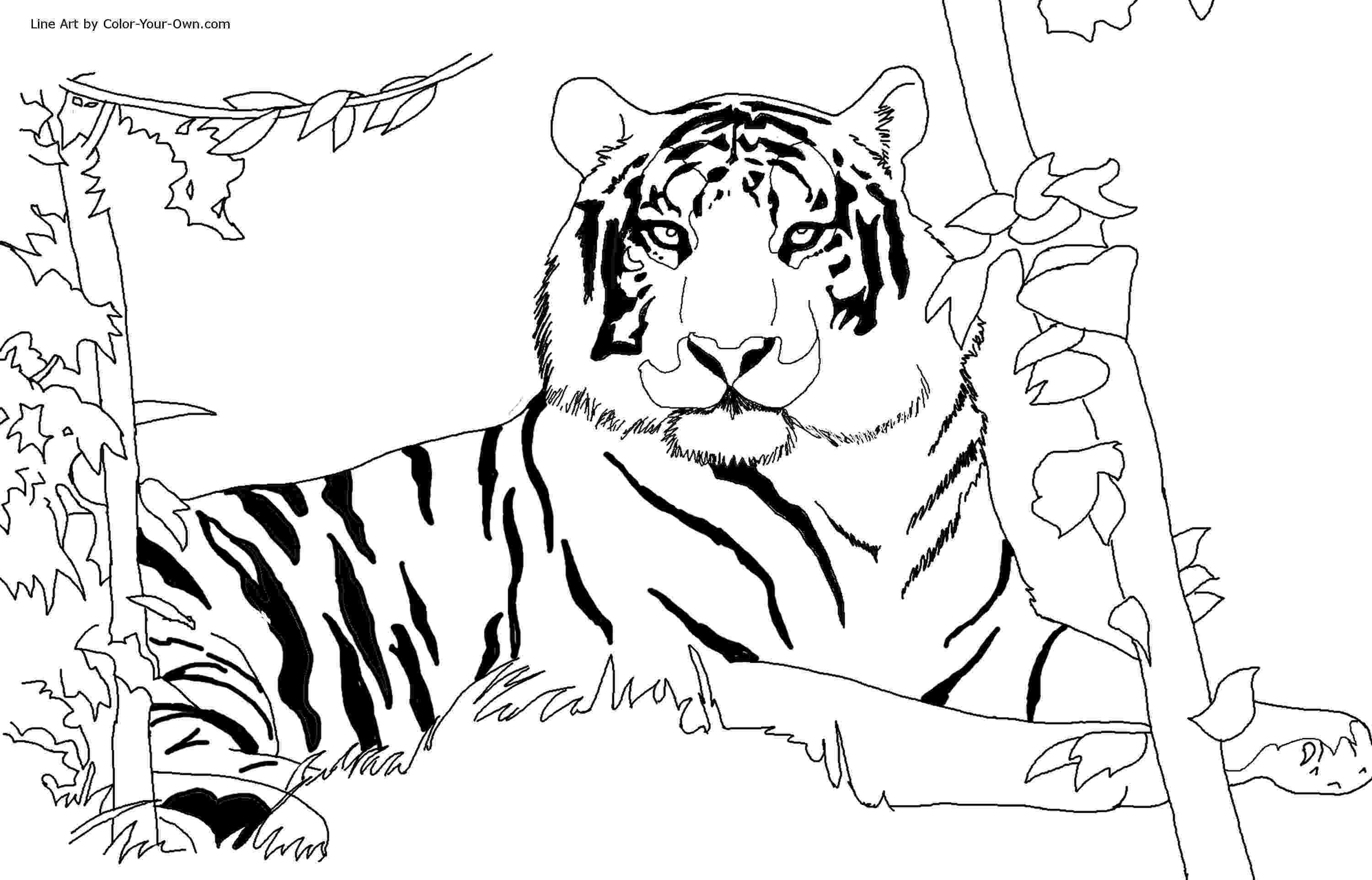 coloring pictures of tigers free printable tiger coloring pages for kids coloring of pictures tigers 