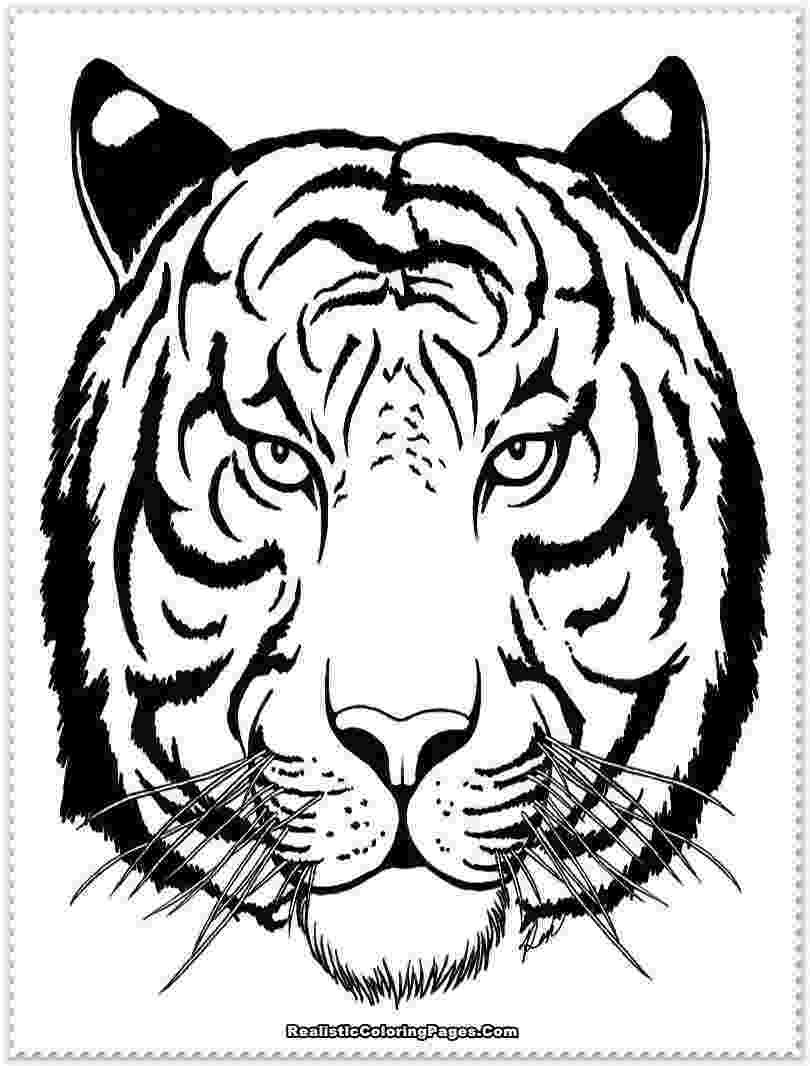 coloring pictures of tigers realistic tiger coloring pages realistic coloring pages tigers of pictures coloring 