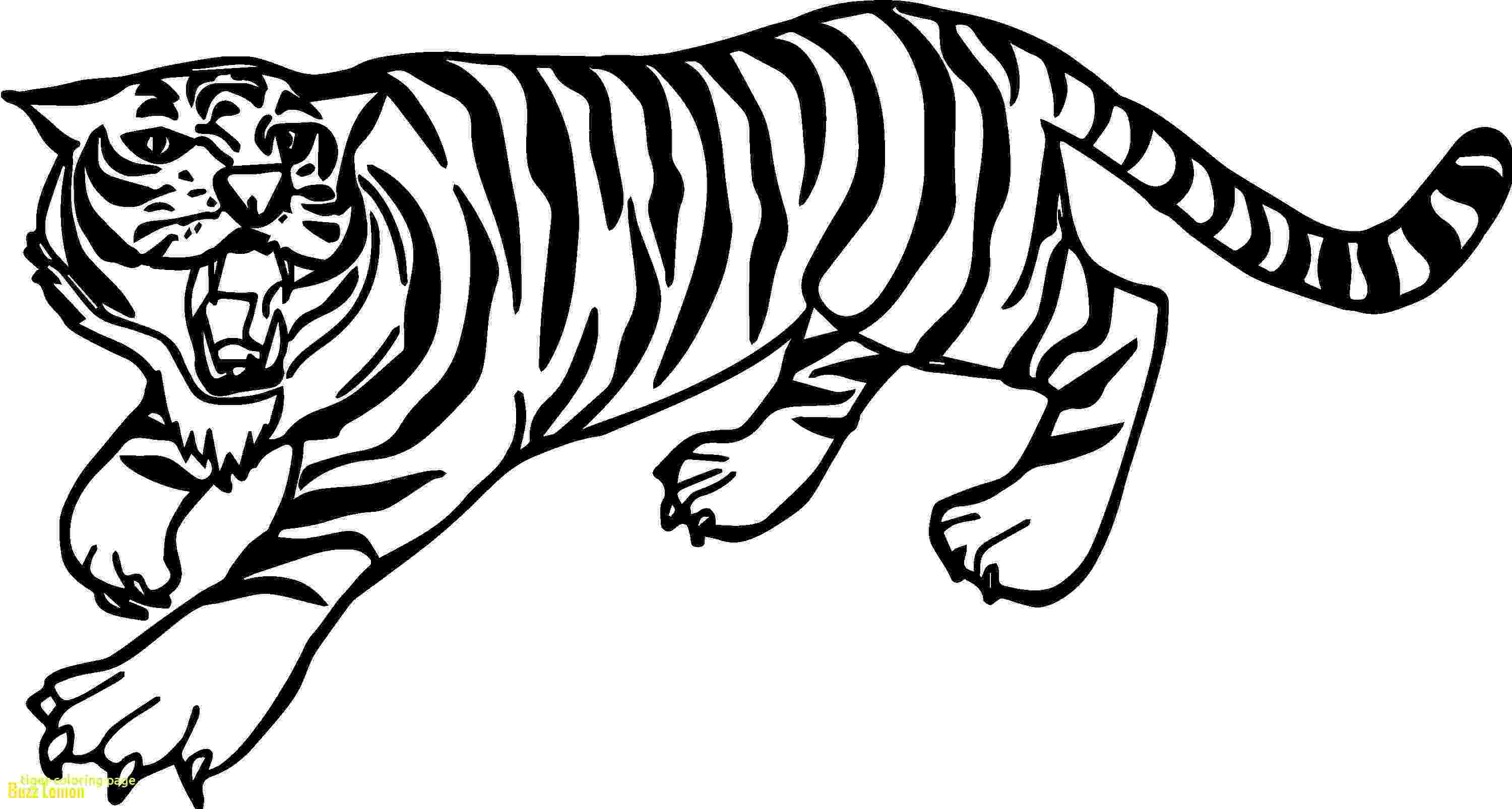 coloring pictures of tigers tiger coloring pages bestofcoloringcom tigers of coloring pictures 