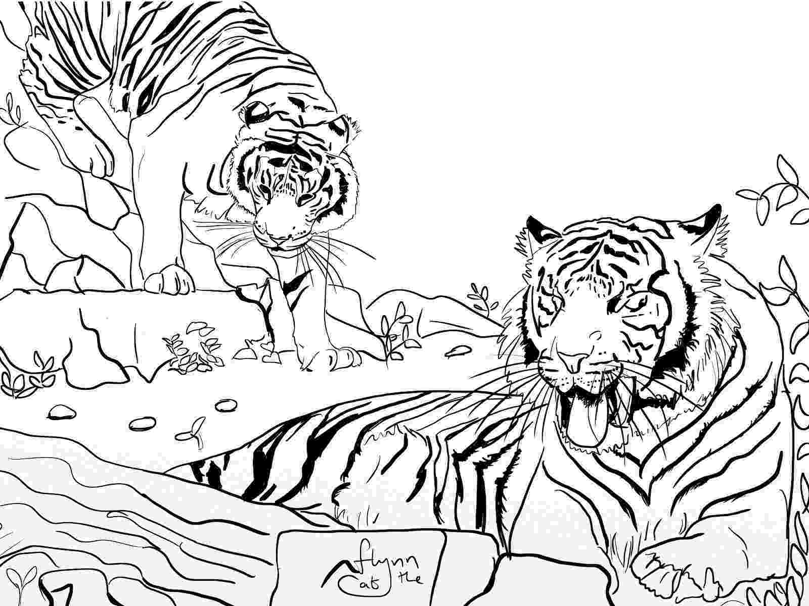 coloring pictures of tigers tigers wildlife colouring page colouring page art coloring pictures of tigers 