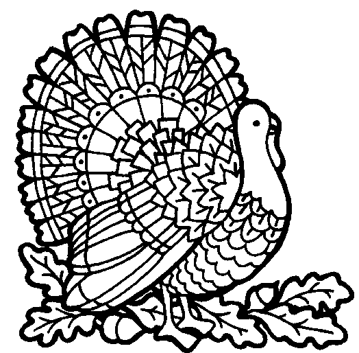 coloring turkey funny turkey coloring pages turkey coloring 