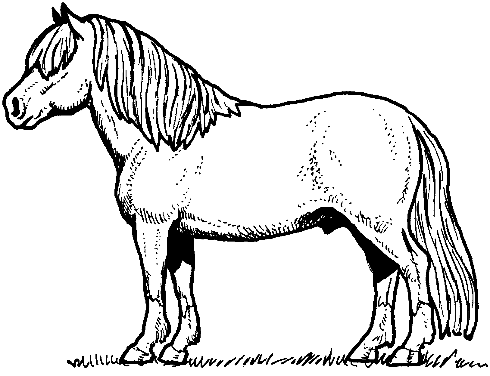 colouring horse fun horse coloring pages for your kids printable colouring horse 