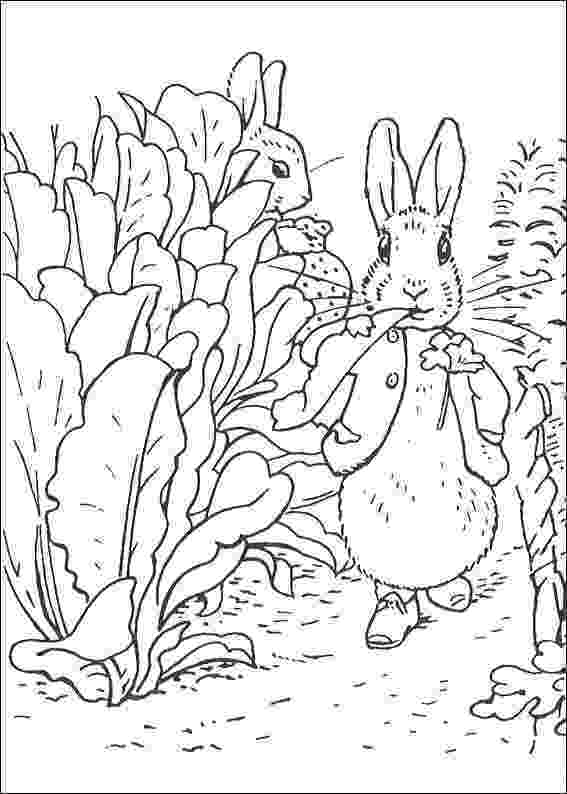 colouring pages for peter rabbit peter rabbit coloring pages bfiar and fiar ideas colouring peter rabbit for pages 
