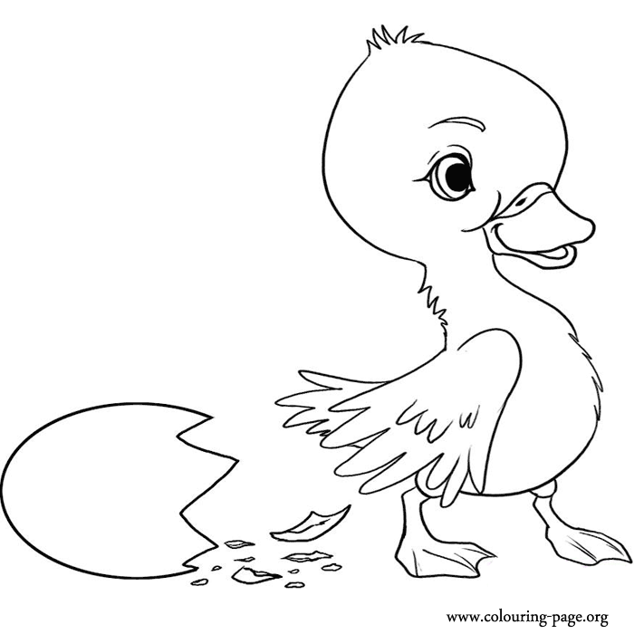 colouring pages for the ugly duckling coloring pages the ugly duckling page 7 for the duckling pages colouring ugly 
