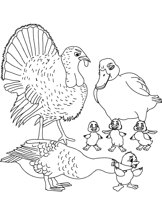 colouring pages for the ugly duckling the ugly duckling coloring pages pages duckling for colouring ugly the 