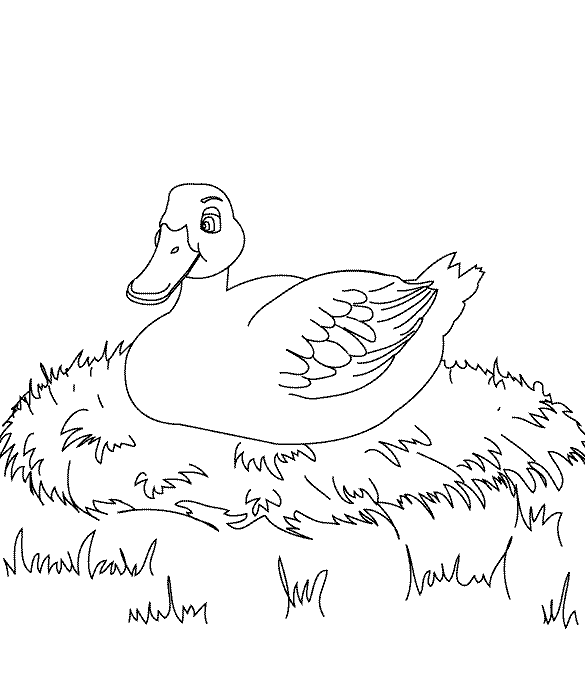 colouring pages for the ugly duckling ugly duckling coloring page coloringcrewcom ugly the for colouring duckling pages 