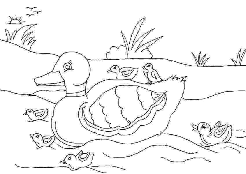 colouring pages for the ugly duckling ugly duckling3 colouring pages for duckling the ugly 