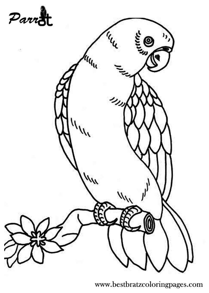 colouring pages with birds bird coloring pages coloring pages to print with birds colouring pages 