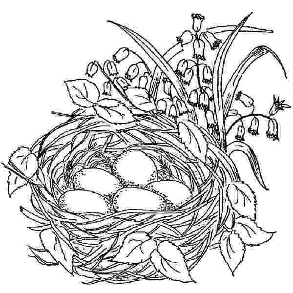 colouring pages with birds bird coloring pages getcoloringpagescom colouring pages with birds 