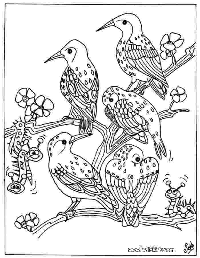 colouring pages with birds bird group coloring pages hellokidscom colouring birds with pages 
