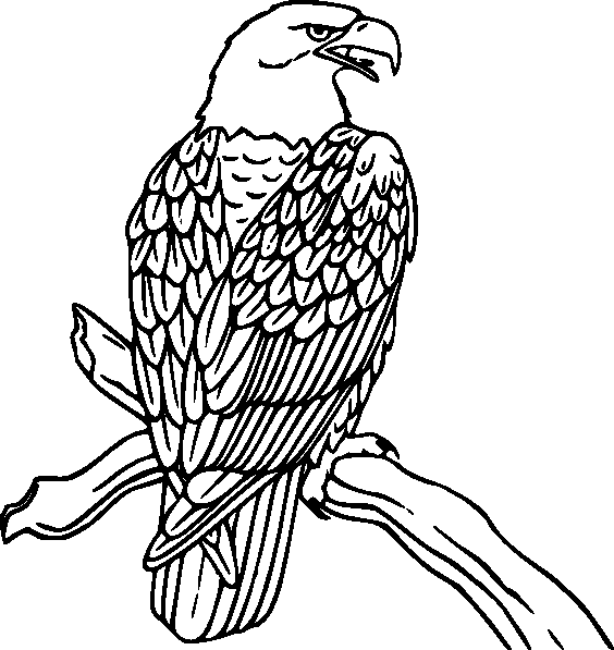 colouring pages with birds birds coloring page happy family art colouring with birds pages 
