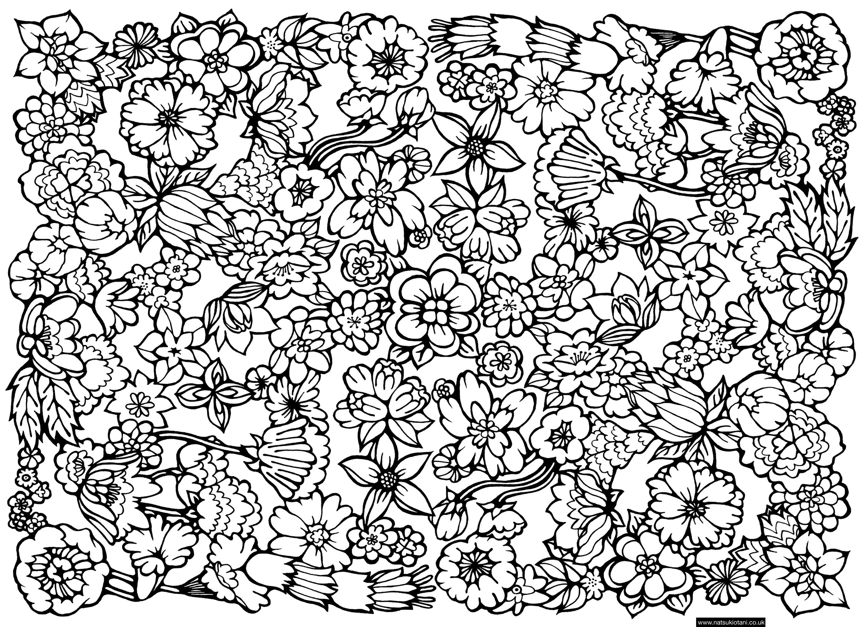 colouring pattern pattern coloring pages best coloring pages for kids colouring pattern 